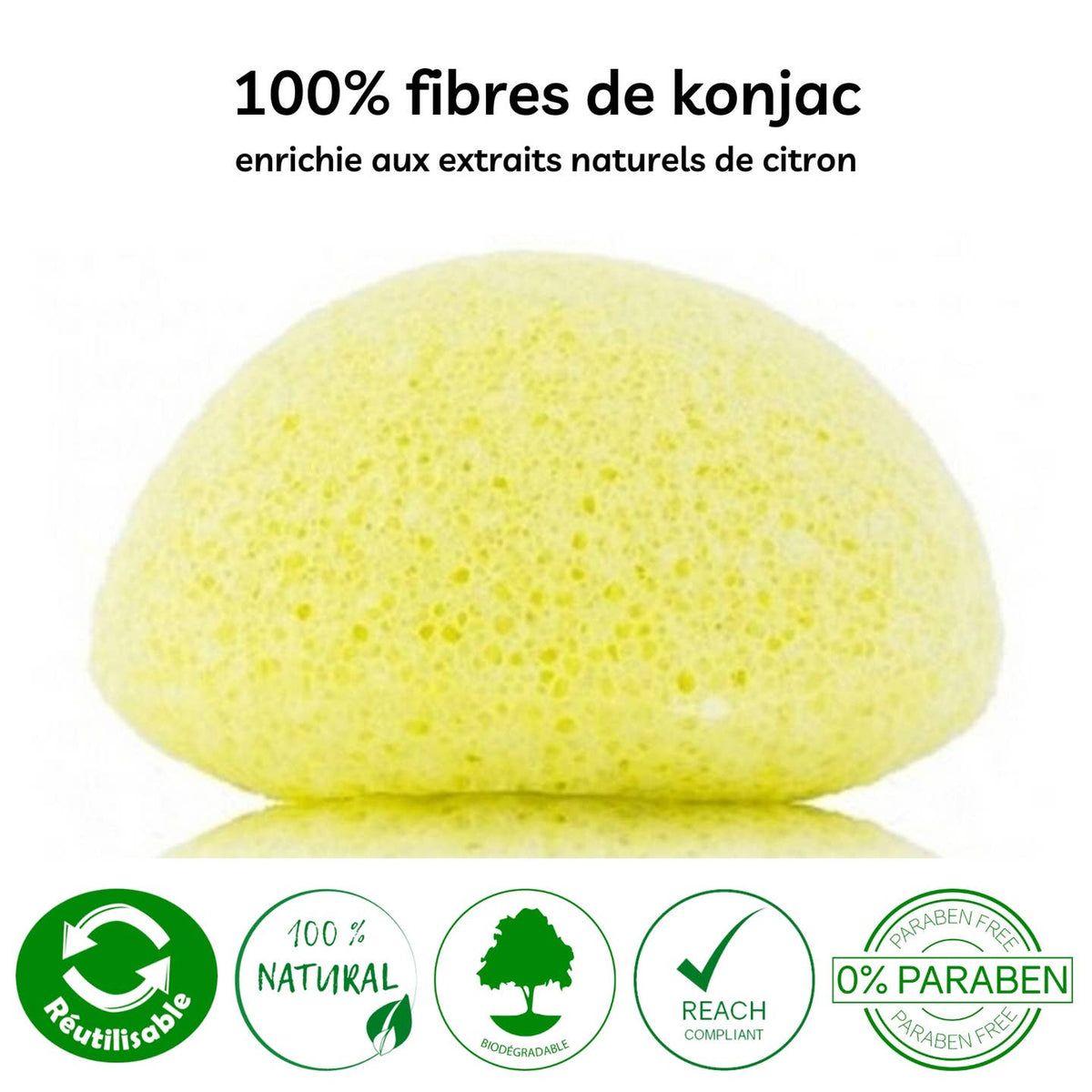 Éponge Konjac pour le Visage – 100 % Naturelle